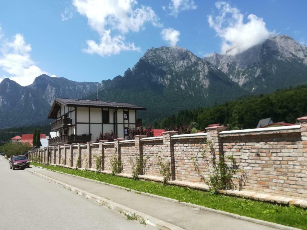 Vila Norbe Buşteni Exteriör bild